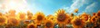 Vivid sunflowers bloom under clear skies, facing the sun in a picturesque, wide scenic view