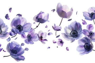 Wall Mural - white and purple orchids on a background showcasing a beautiful tropical floral arrangement