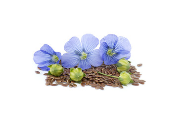 Wall Mural - Flax (linseed) flower and seeds over white background