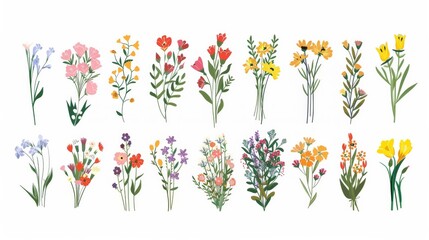 Wall Mural - Set of different beautiful bouquets with garden and wild flowers vector flat illustration. Collection of various blooming plants with stems and leaves isolated on white. Floral decoration or gift