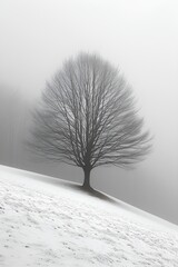 Wall Mural - Winter - tree on a hillside - black and white photo - snow 