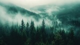 Fototapeta Londyn - misty morning in the forest 4k background, smoky jungle background, Aerial footage of spruce forest trees on the mountain background, hd wallpaper