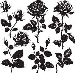 Wall Mural - Set of Cute hand drawn flowers