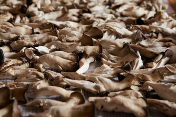 Canvas Print - Dried mushrooms, dried ingredients