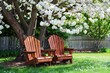 Retreat With Wooden  Chairs Under Blossoming Tree