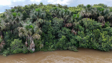 Wall Mural - Aerial image of the apore river