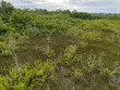 Small Swamp in Itaja
