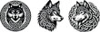  Set of Celtic wolf head, vector illustration.