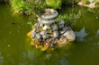 A pond with turtles in the park. Lazy people are resting on a stone with a vase. Small turtles swim in an ornamental pond. Beautiful kind natural background. The concept of rest, weekend walks