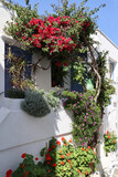 Fototapeta Dmuchawce - Romantic alley with bougainvillea on the Greek island of Naxos - Greece 