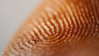 Close-up of a human fingerprint pattern with intricate ridges and valleys.
