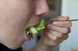 Detail of a Boy's Mouth Biting Salad Leaves