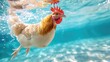 Hilarious underwater scene chicken in pool plays deep dive action, Ai Generated.