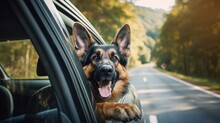 German Shepherd Dog Joyfully Sticks Head Out Of Car Window. Ai Generated.