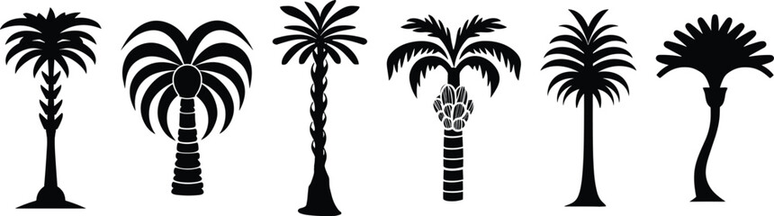 Set of palm tree silhouette, vector illustration,
