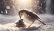 a parent bird feeding its chick in a snowy environment