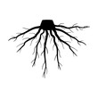 structure tree root cartoon. foundation soil, water oxygen, anchorage development structure tree root sign. isolated symbol vector illustration