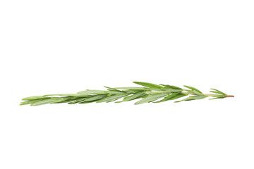 Poster - PNG, Rosemary, seasoning, isolated on white background