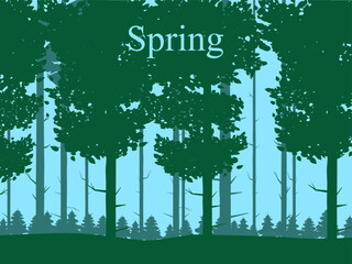 Wall Mural - Spring forest landscape, green foliage, April, May month