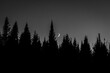 © Cavan Images - Crescent moon seen between silhouetted trees in a forest in Maine