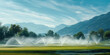 sprinklers spraying water  on green grass  in golf course  background