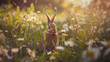 A rabbit rests in the midst of colorful flowers in a vibrant field
