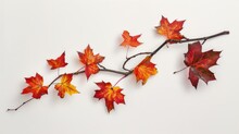 Red Orange And Yellow Maple Leaves Branch Against A White Backdrop