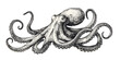 Octopus sketch hand drawn engraving style Underwater animals. vector simple illustration