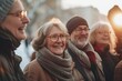 © Iigo - Group of senior people walking in the city. Group of elderly friends spending time together.