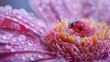 Macro Photography Capturing the Beauty of Nature