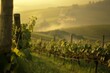 Early morning light illuminates a vibrant vineyard with lush green vines, wooden posts, and a backdrop of foggy hills, capturing a peaceful and natural setting.