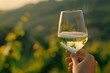 A close-up of a hand holding a glass of white wine, beautifully reflecting a vineyard landscape at sunset. Perfect for depicting leisure and fine dining experiences.