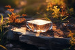 Crystalline organic transparent stone podium in sunlight on natural rocky background. Transparent stand on stone block in the golden hour in the rutting landscape