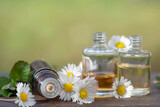 Fototapeta  - bottles of essential oil and daisies with fresh mint leaf on a wooden table  outdoors