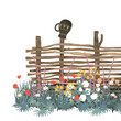 Flowers and wicker fence made of flexible willow or hazel wood, decorated with a ceramic jug. Vector isolated illustration. Rustic wooden fence, countryside border design element