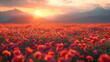Field of poppies at sunset. Beautiful background for a banner for Memorial Day or Independence Day