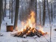 Bonfire in the forest, in winter.