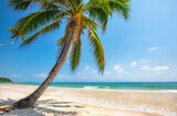 Fototapeta Zachód słońca - tropical beach with coconut palm