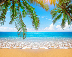 Wall Mural - green leaves of palm tree and tropical beach