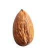 Almond nut isolated on transparent background. Png format
