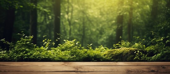 Wall Mural - Table Covered in Forest Moss