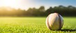 Baseball on field in sunlight