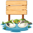 Two ducks swimming near a blank wooden sign.