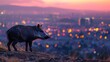 wild boar on the hill city, sunset, blurred city lights in background