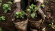 Men carrying seedlings in a bag to plant them in soil for a greener environment