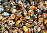Fototapeta Do akwarium - amber mineral texture