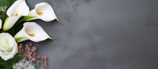 Poster - Gray daisy petals on white surface