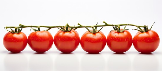 Poster - Ripe tomatoes on a vine with water droplets