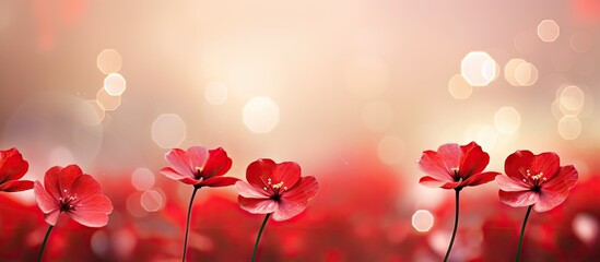 Canvas Print - Red blossoms fill a field