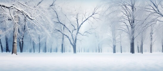 Poster - Quiet park scene with snow-covered trees and bench